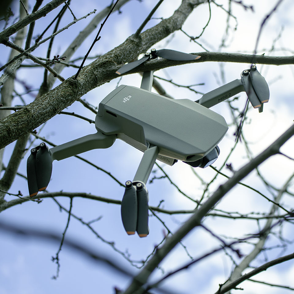Drohne hängt in Baum fest